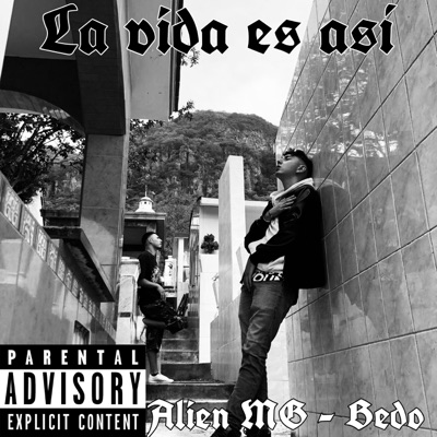 La vida es así - Single