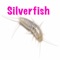 Silverfish - The Catnip Mafia lyrics