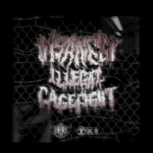 Insanely Illegal Cage Fight - Dal Av &amp; Jackson Rose Cover Art