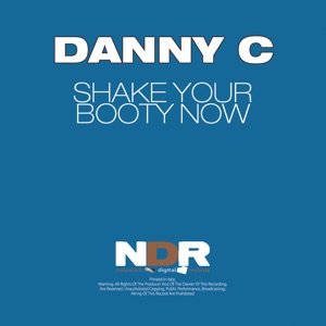 Shake Your Booty Now - Single