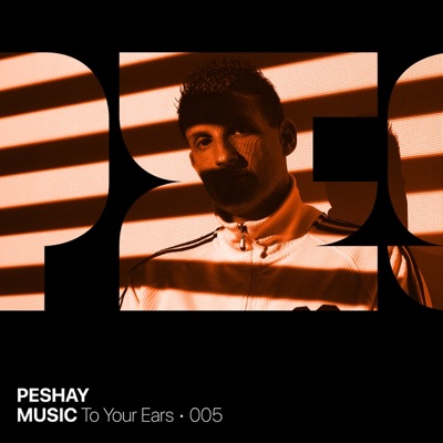 Music To Your Ears: 005 (DJ Mix)