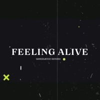 Feeling Alive - Single - GabrielMusic