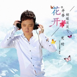 花开并蒂蝴蝶双双飞 宪明
