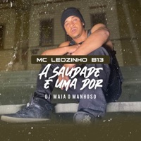 A Saudade é uma dor - Single - Mc Leozinho B13, Da Ponte Pra Cá & DJ MAIA O MANHOSO