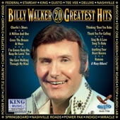 Billy Walker - Funny How Time Slips Away