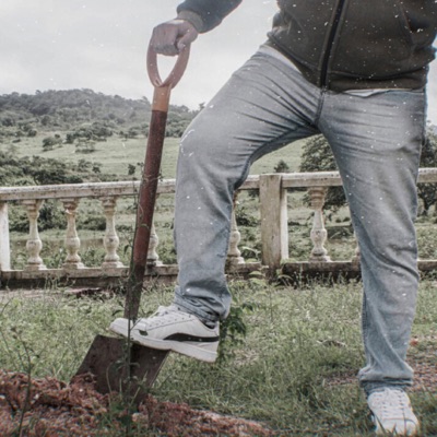 O Cortejo a Paranoia (feat. Nicácio) - Single