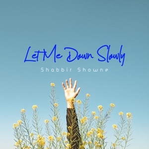 Let Me Down Slowly (Lofi Remix)
