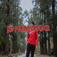 No Puedo Olvidar - Single - Kaleb Di Masi