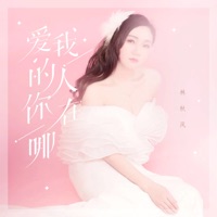 爱我的人你在哪 - Single - 林秋风