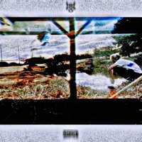 All Yours - Single - CHASIN SICK & Guts Eternal Beyond Glory