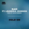 Bam - Hold On (feat. Le'Andria Johnson) [David Harness Instrumental Remix]