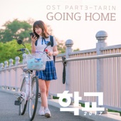 Tarin - Going Home