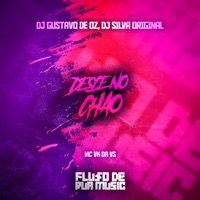 Desce no Chão - Single - DJ GUSTAVO DE OZ, MC VK DA VS & DJ Silva Original