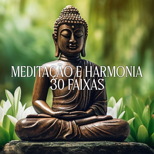 Meditação e Harmonia: 30 Faixas Sonoras para o Bem-Estar e a Tranquilidade, A Cura Pelo Yoga