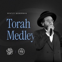 Torah Medley - מחרוזת תורה (feat. Bentzy Weberman & the Shira Choir) - EP - Shea Kaller Band