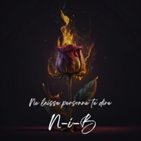 Ne laisse personne te dire - Single - N-i-B