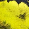 Gals - Yellow - Intelligent Sound lyrics
