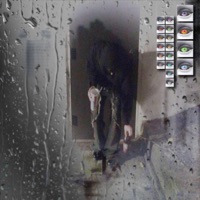 #Why - Single - Vektorcrush