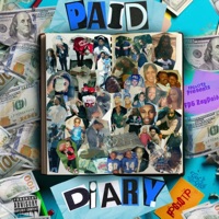 Paid Diary - FPG ZayPaid