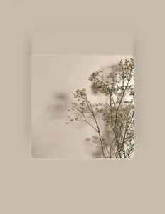 Escucha a wemetra, mira videos musicales, lee su biografía, consulta las fechas de las gira y más.