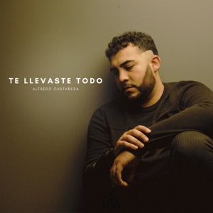 Te Llevaste Todo