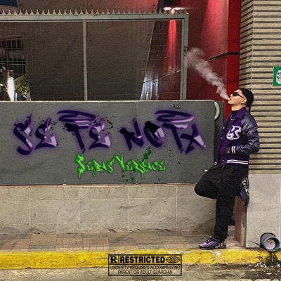 Se Te Nota - Single