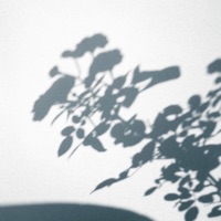 Self Discovery (Cinematic Rework) [feat. Habe] - Single - Jon Notar