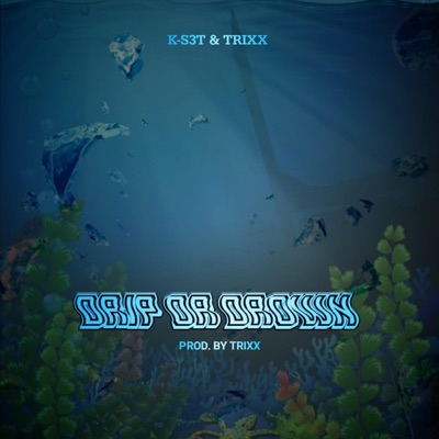 Drip Or Drown (feat. Trixx) - Single