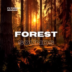Forest Sounds for Peace of Mind, Deep Relaxing Noises