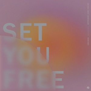 Set You Free (Moods Remix) [feat. Ashton Sellars] - Single