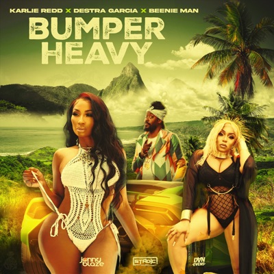 Bumper Heavy (Remix) - Single