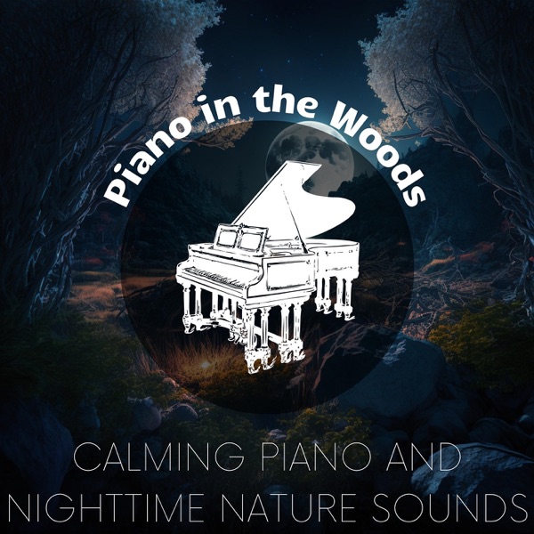 Calming Piano and Nighttime Nature Sounds for Meditation