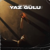 Yaz Gülü (feat. Can Toğrulca) artwork