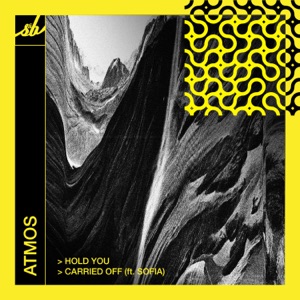 Hold You / Carried Off - Single