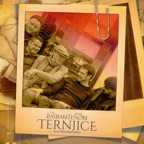 Ternjice (feat. Willi Resetarits)
