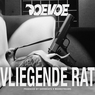 Vliegende Rat - Single