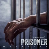 (I'm Not Your) Prisoner artwork