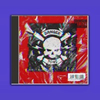 DANGERZONE (feat. LiuC) - Single - PROD JT