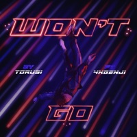 Won't Go (feat. 4kGenji) - Single - Torusi
