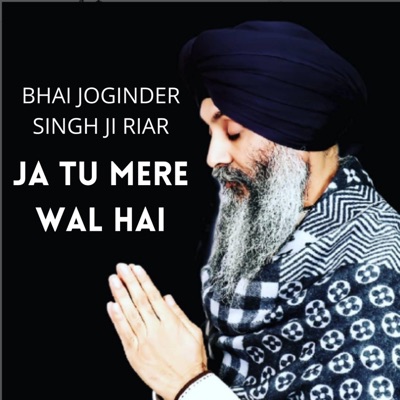 Bhai Joginder Singh Ji Riar - Pawane Mein Pawan Samaya