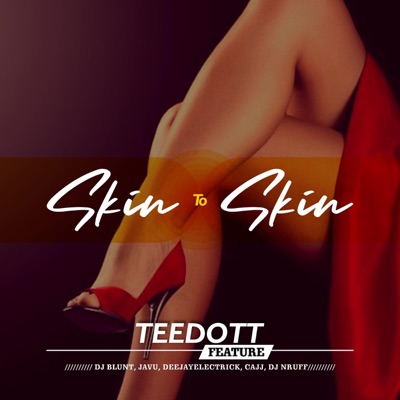 SKIN TO SKIN (feat. DJ BLUNT, JAVU, DEEJAYELECTRICK, CAJJ &  DJ NRUFF) - Single