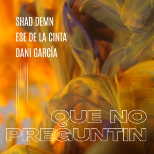 Que no preguntin (feat. Shad Demn)