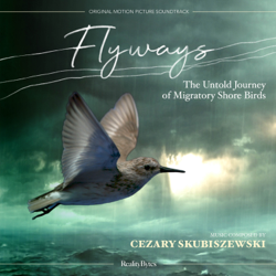 Flyways: The Untold Journey of Migratory Shore Birds (Original Motion Picture Soundtrack) - Cezary Skubiszewski Cover Art