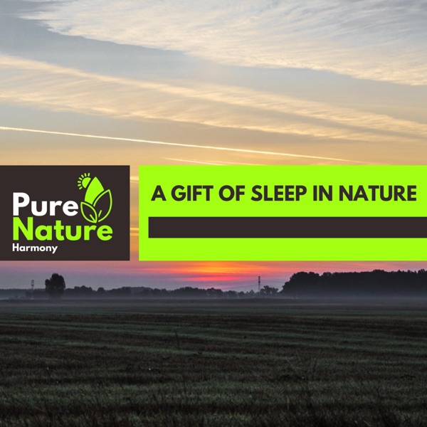 A Gift of Sleep in Nature