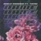 Dame (feat. Tayri) - Mirlo Canario lyrics