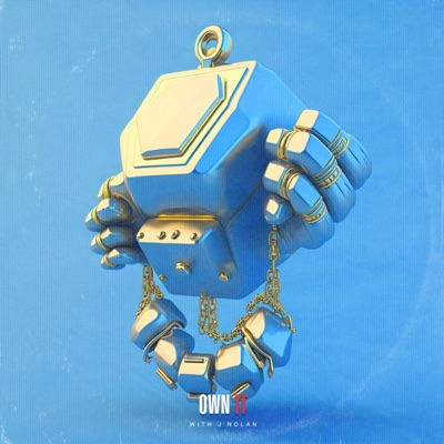 Own It - Single