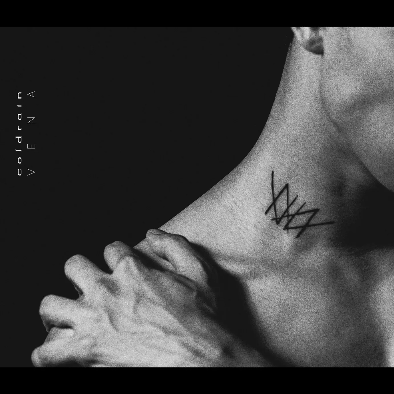 coldrain Final Destination XV＋Vengeance FINAL DESTINATION (XV RE:RECORDED) + VENGEANCE - album by coldrain