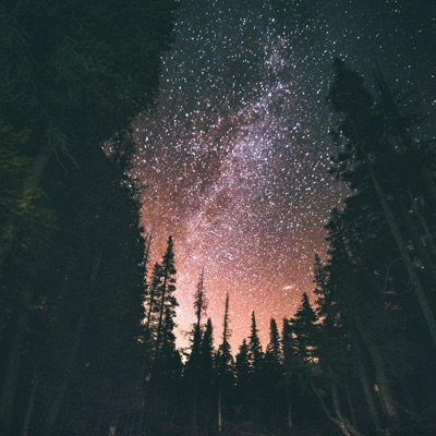 Star Canopy - Single