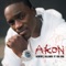 Sorry, Blame It On Me - Akon lyrics