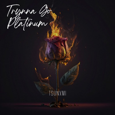 Trynna Go Platinum - Single